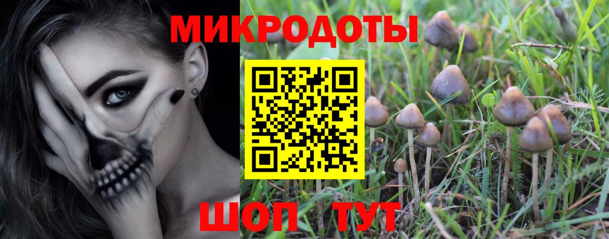 Галлюциногенные грибы Psilocybine cubensis Коряжма