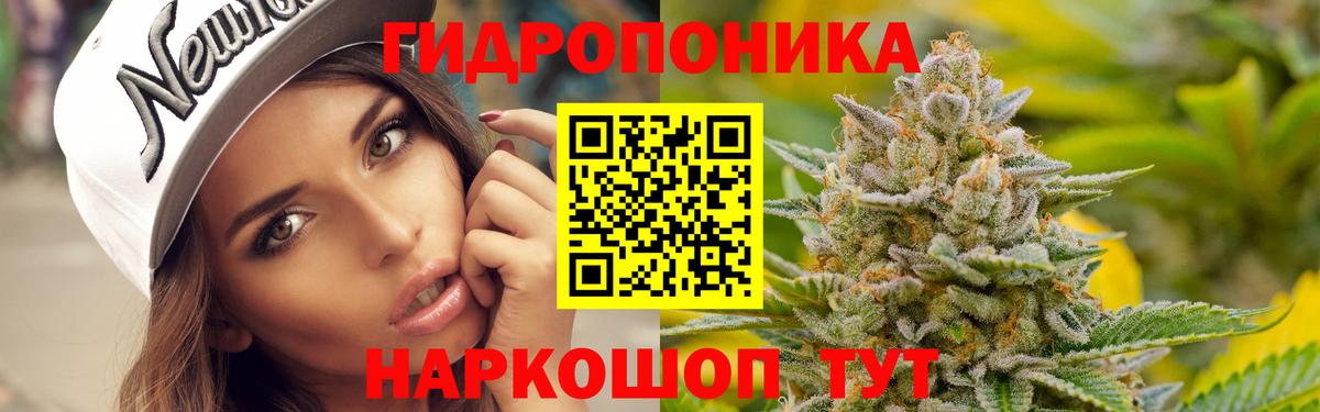 Конопля индика  Бошки марихуана планчик  Бошки марихуана тримм  Вход с VPN  Коряжма 